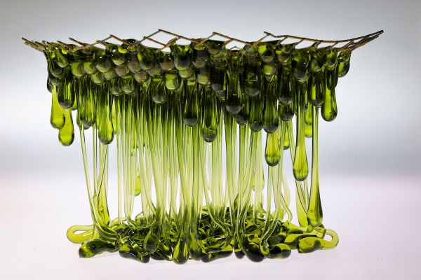 Green Fern